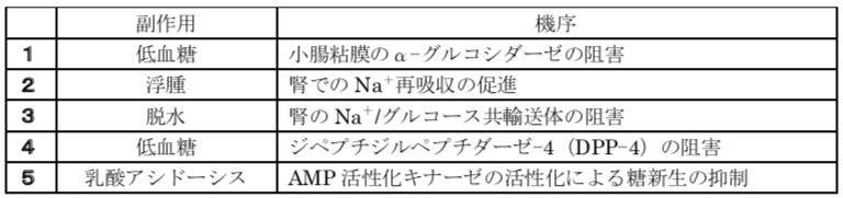 解説画像